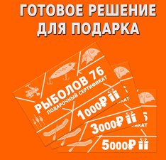 Сертификат 10000 рублей(10000р, 365 дней, за раз)